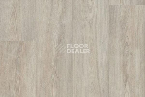 Линолеум FORBO Eternal Wood 10322 white chestnut фото 1 | FLOORDEALER
